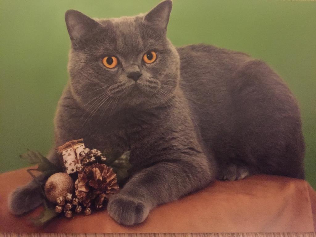 Father, Handy Larocca